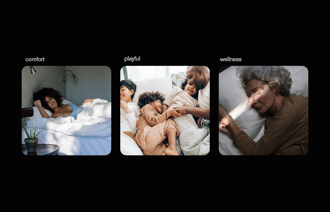 Som Num Logo Variations